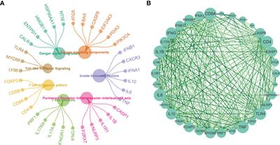 The prognostic value and response to immunotherapy of immunogenic cell death-associated genes in breast cancer